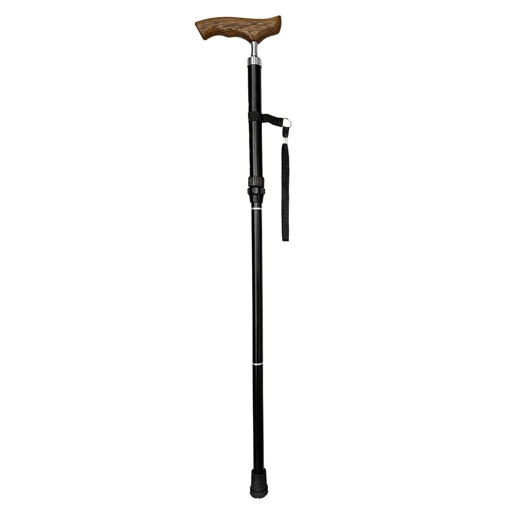 Easwe Foldable Cane 1